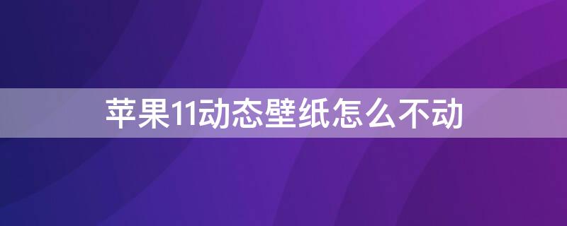 iPhone11动态壁纸怎么不动（iphone12动态壁纸怎么不动）