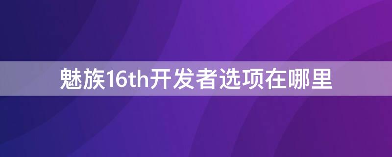 魅族16th开发者选项在哪里（魅族16th开发者选项在哪里找）