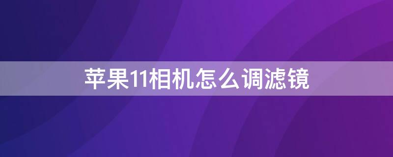 iPhone11相机怎么调滤镜（苹果11手机相机怎么调滤镜）