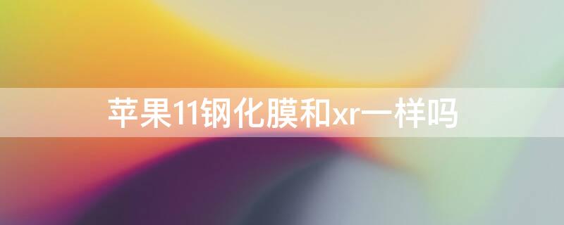 iPhone11钢化膜和xr一样吗（iphone11和iphone xr钢化膜一样吗）