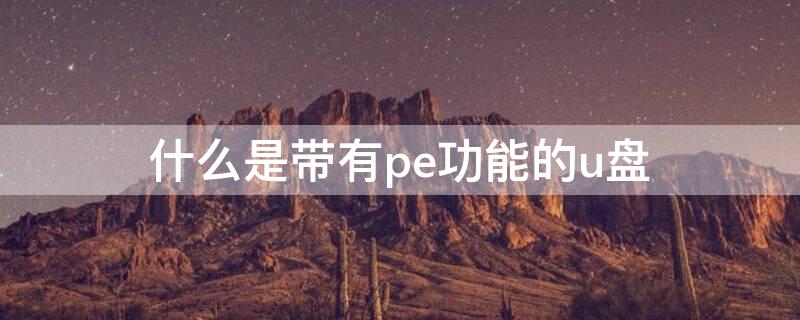 什么是带有pe功能的u盘 带有pe的u盘是什么意思