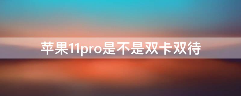 iPhone11pro是不是双卡双待（iphone11pro是双卡双待手机吗）