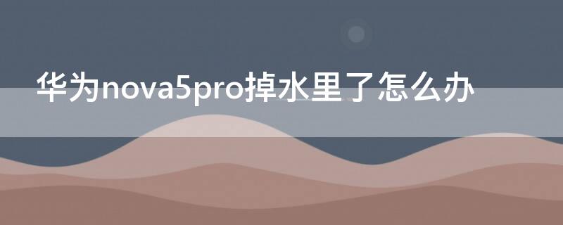 华为nova5pro掉水里了怎么办 华为nova5ipro掉水里了怎么办