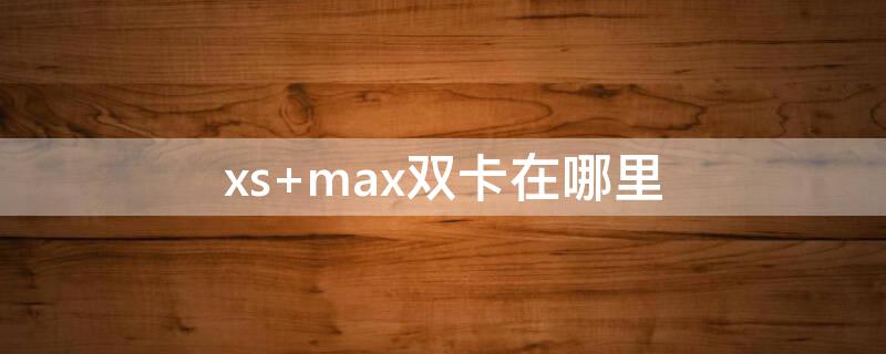 xs max双卡在哪里