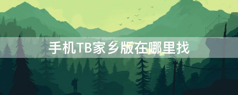 手机TB家乡版在哪里找（手机淘宝家乡版下载并安装）