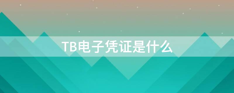 TB电子凭证是什么