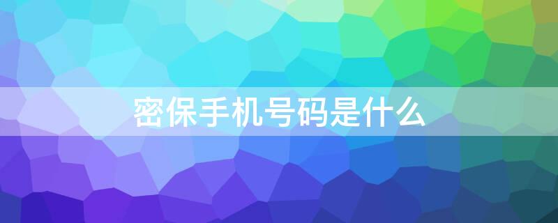 密保手机号码是什么 密保手机密码是什么