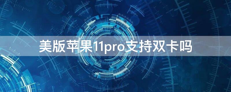 美版iPhone11pro支持双卡吗（iphone11promax美版是双卡吗）