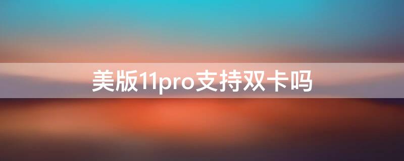 美版11pro支持双卡吗 11pro美版是双卡吗