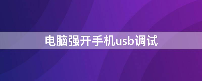 电脑强开手机usb调试 电脑强开手机usb调试怎么开