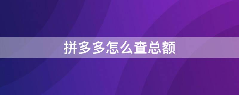 拼多多怎么查总额 拼多多怎么查总额记录