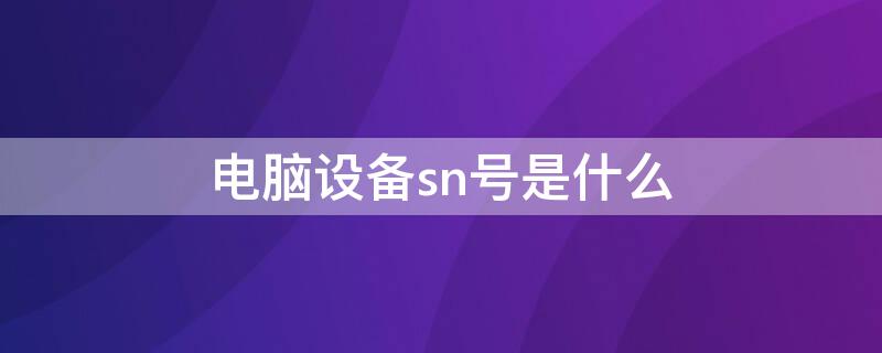 电脑设备sn号是什么（电脑sn号码）