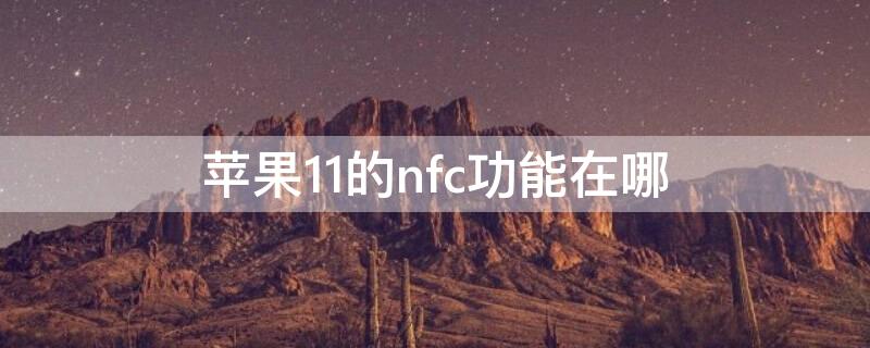 iPhone11的nfc功能在哪（iphone11的nfc功能在哪里打开）