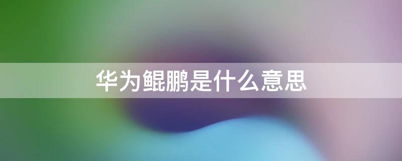 华为鲲鹏是什么意思 华为鲲鹏是什么意思 192.168.8.1