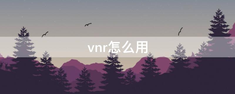 vnr怎么用（vnr怎么用j北京）