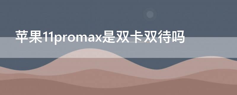 iPhone11promax是双卡双待吗 iphone11promax 是双卡吗