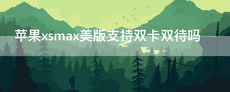 iPhonexsmax美版支持双卡双待吗 苹果xsmax美版支持双卡吗?