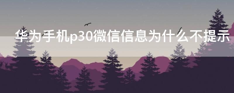 华为手机p30微信信息为什么不提示（华为手机p30微信信息为什么不提示声音）