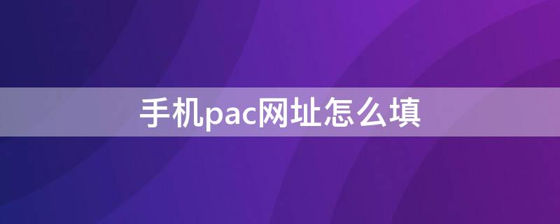 手机pac网址怎么填 手机pac网址怎么填写