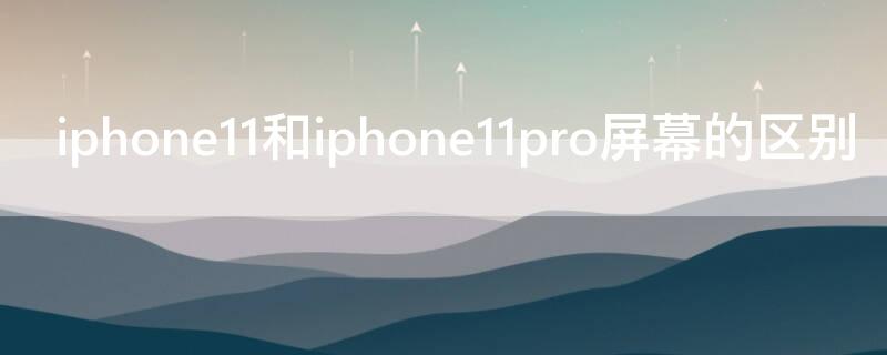 iPhone11和iPhone11pro屏幕的区别（iphone11和11pro屏幕一样吗）