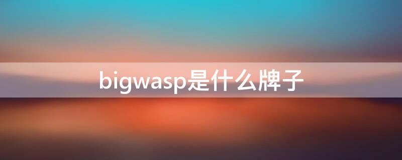 bigwasp是什么牌子 bigwasp是什么牌子多少钱