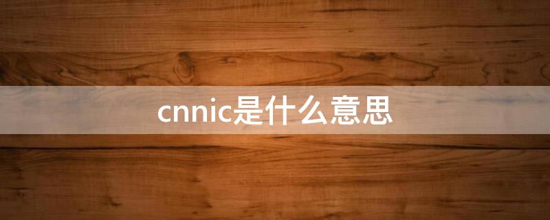 cnnic是什么意思 cnnic全称