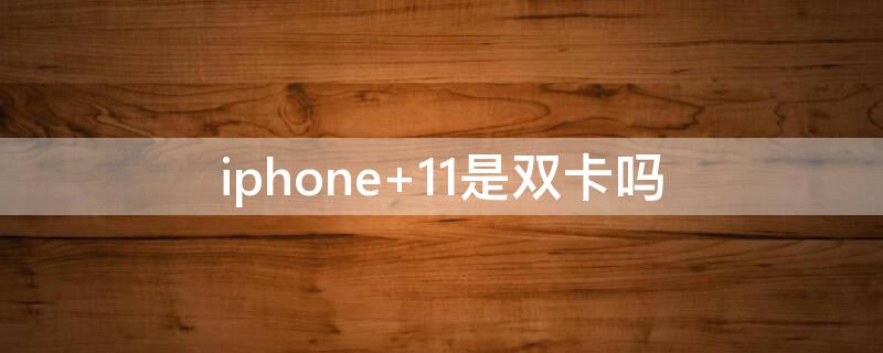 iPhone 11是双卡吗