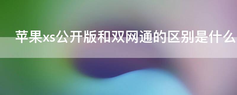 iPhonexs公开版和双网通的区别是什么