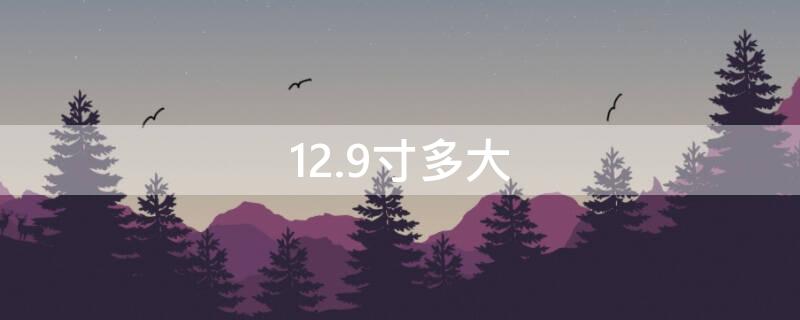 12.9寸多大 12.9寸多大长宽