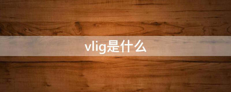 vlig是什么 vigil是什么意思啊