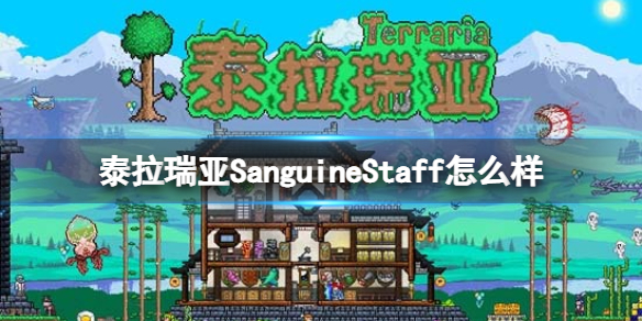 泰拉瑞亚SanguineStaff怎么样