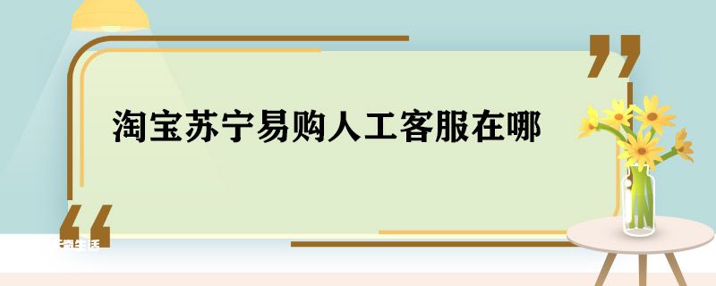 淘宝苏宁易购人工客服在哪 淘宝苏宁易购人工客服是什么