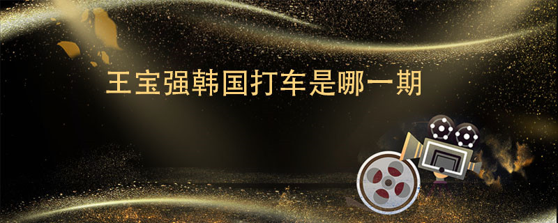 王宝强韩国打车是哪一期 王宝强在韩国打车是在哪一期