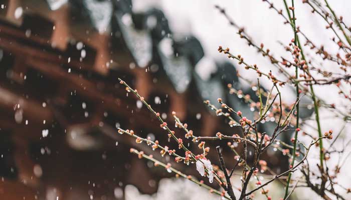 三月的桃花水是春天的什么仿写 三月的桃花水是春天的什么仿写句子