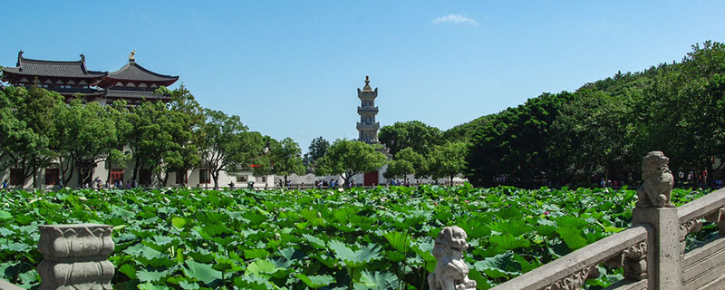 普陀山在哪个省