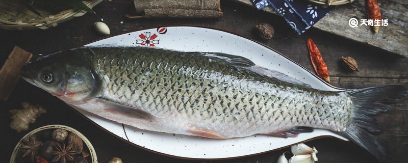 鱼精是鱼的哪个部位