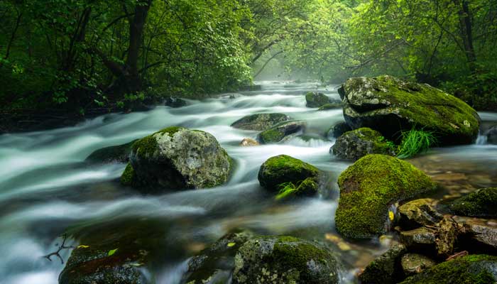 山涧溪水诗词佳句