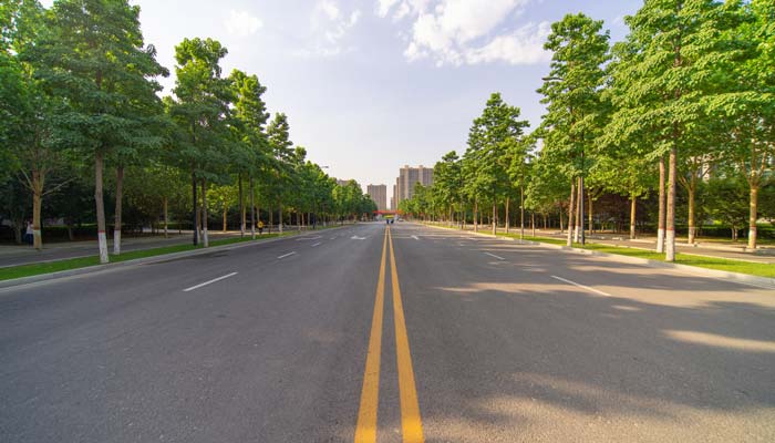 师范大学排行榜