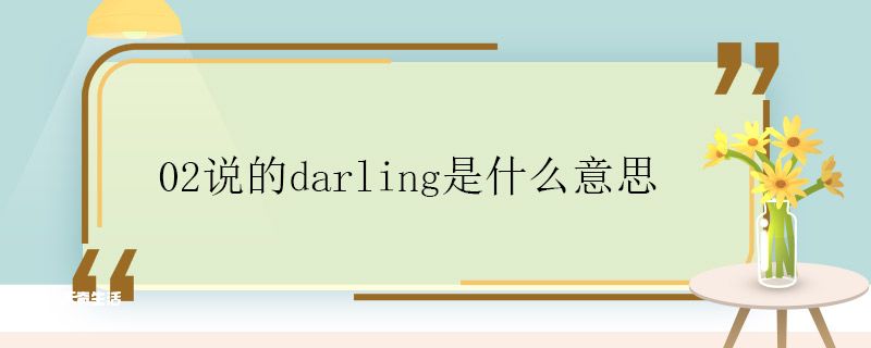 02说的darling是什么意思