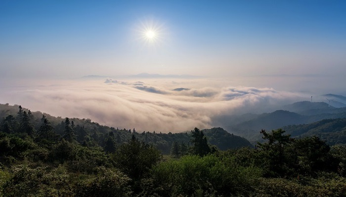 九龙山在哪里