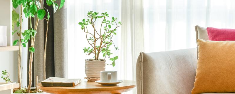 回潮天气窗户是打开好还是关闭好(南方天气回潮应该开窗还是关窗)