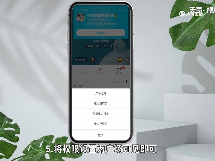 soul被挡访客是什么意思