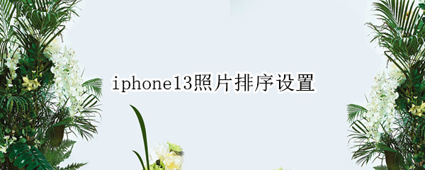 iphone13照片排序设置（iphone13照片顺序调整）