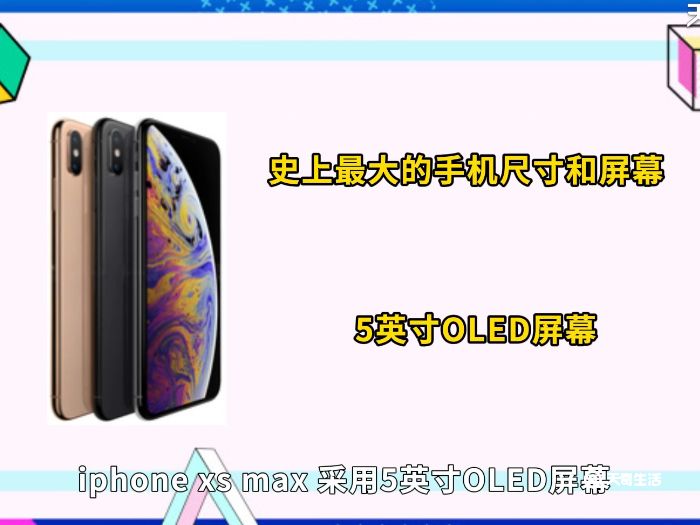 iphonexsmax长度多少cm