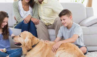 孩子上叛逆学校管用吗 有孩子叛逆学校吗