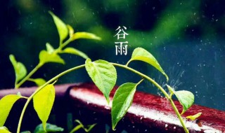 2022年三月二十日谷雨节气有什么宜忌（2020年三月份的节气）