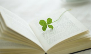 春分扫墓的诗句（春节扫墓诗句）