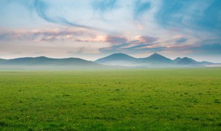 梦到大风 梦到大风是什么意思
