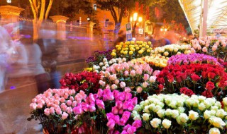 梦到鲜花(梦到鲜花预示着什么)