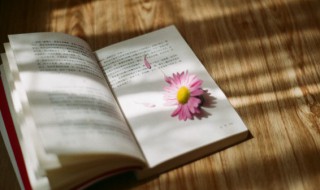 描写桃花的诗句有哪些（三年级描写桃花的诗句有哪些）